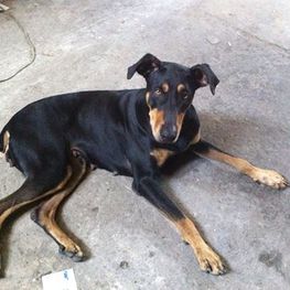 D a05cd3f4 f3dd 4649 bfb4 5c5e68401693