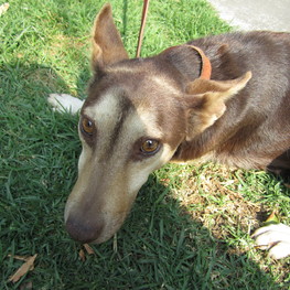 D d9253ece e031 493f 8c36 4aa19ff4a9e6