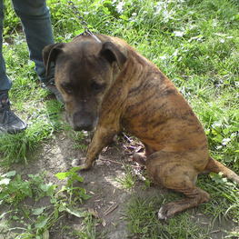 D 3481ab5e 22af 4913 a000 8667bfc8dc72