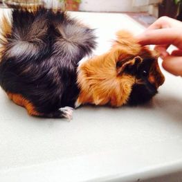 D 6eb89795 5073 4a8b ba6f 71e2b85d3b13