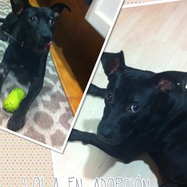 D 5e787fe8 f7b8 4fc1 b043 825a1278ed29