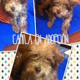 D ab757a4e 75b0 4b6a 84ed 34c58f62ac20