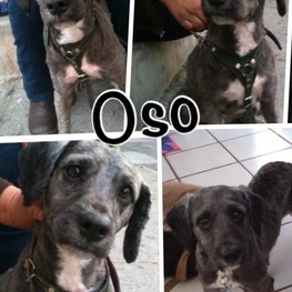 D 7120c798 1ba0 4dd4 a07d d0db84d4be1a