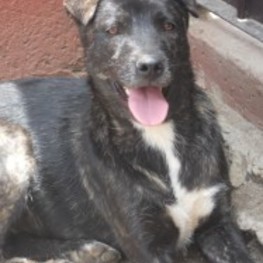 D 206f5115 ebae 4bef a85f 09945f663df1