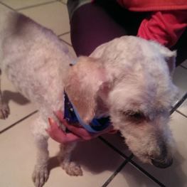 D dfa51e35 1be8 4bea 9ffb 4080df4d2735