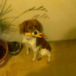 D 3c64c09b fd75 4de1 9ace f1095e679977