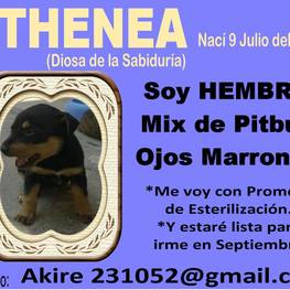 D 30ecd3b9 3ec5 429b 995e 00658ddc2e83