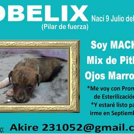 D 34c99f2f 1784 44ab a441 c7206f381dbd