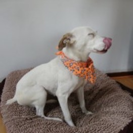 D f57947ab adb5 46a2 b11e b173265780d6