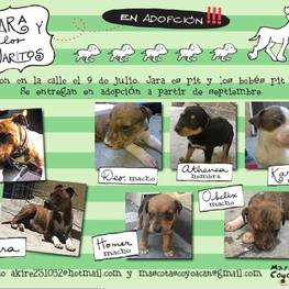 D 5c478c94 db49 4ed0 87de 9c23be1d4cdc