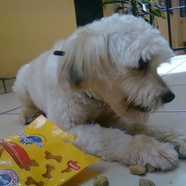 D 9c8f70b2 7896 4d41 abdf 1895e3fead7b