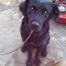 D 5fbd13d6 139d 42df abd5 2162c3394f8d