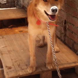 D 3a324ef8 d4a2 4a5c 9809 7dbd076f8801