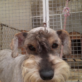 D 8460869f 7f19 450a ab62 a0426d719f2d