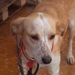 D 934df10a 06cd 4b73 a4b5 674f263b89a9