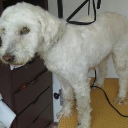 D 0c8156f5 12cb 46dc 8956 8630c8e0d1ff