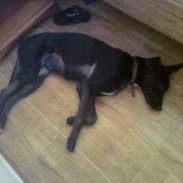 D 38a6a794 2027 4049 8692 f59a34a1447e