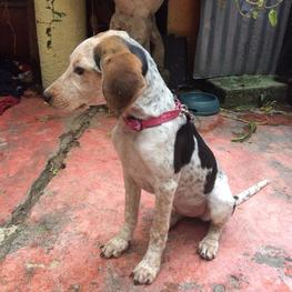 D 5c6d0591 af35 46f7 a1c8 9a6a79538a43