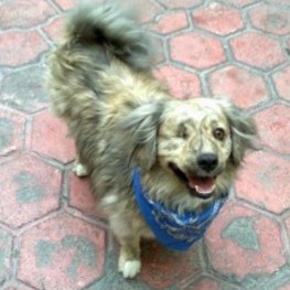 D a61639b7 7644 4881 a2d2 4045d6bed976