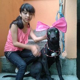 D 6f0dc27d 3c7d 487d b668 aa30c3b2327c