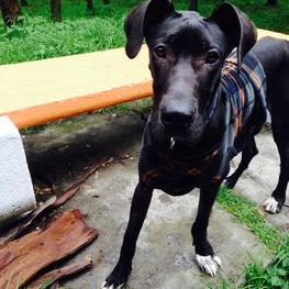 D 8c90b8a8 4c3f 45d6 b667 c66b3315109b