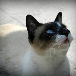 D e59d7fd8 7698 4ab3 b89d 7eed8e57195d