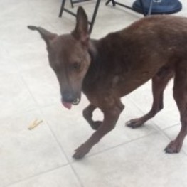 D fa089ebe 390b 49e3 96d3 94aae7ea0075