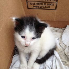 D 919a779d 2723 4ad2 8e0d 222f6f73d715