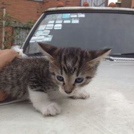 D 9af479bf 060e 4a22 8119 df89f811055e