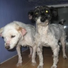 D cb1fdaba a82a 456a adc6 fdea97700137