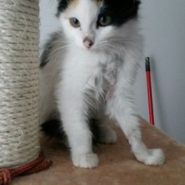 D 79a9fb46 8704 4fe6 b1bc 55d59120fb12