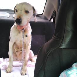 D afffd9d8 b256 45e0 ac36 9b3a35decf8e