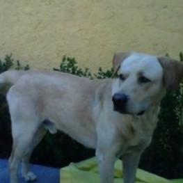 D d4c4521d c416 4a5f abe4 0ab42a661a0d