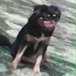 D fb482a10 c49b 4d59 a5d5 6c1dce7872e1