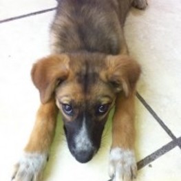 D d46e1ee8 309a 44d5 9662 3f2d09e022d0