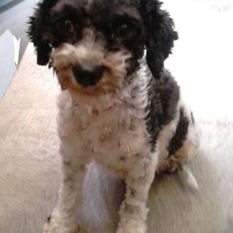 D 4dac385b 8fda 45e1 9a74 2e522a3fe30e