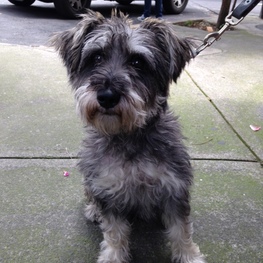 D c773881e 6274 435f 9bcc 075570b5468a