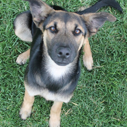 D bcfd948e 231a 4522 80a7 3a03366ba844