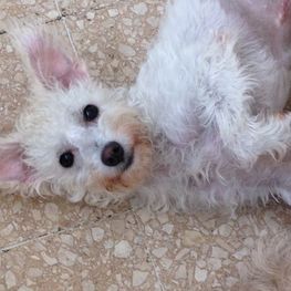 D 937b7a56 4f80 40a3 b663 28206b3dd7fa