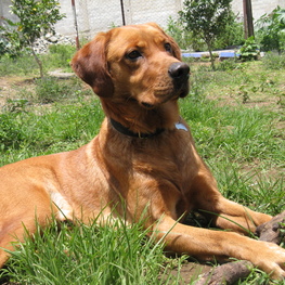 D 071ba8d3 fffe 4e20 a7b3 8aad796f4c49