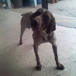 D b8450c0e f08a 4931 8ad6 76be7c6dec76