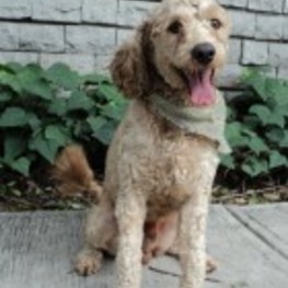 D 315105b9 7bfe 4c11 830b fa8d650c7ff7