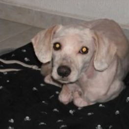 D c2c1cb55 30dc 41a7 88a8 98e85f32571c