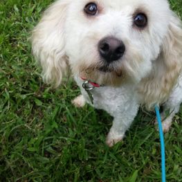 D 9b7e60a2 19e3 447c 97f5 62655cf2db9a