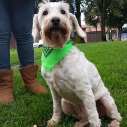 D 5ab4cafd 441b 41e7 874f c8179daa3453