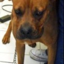 D f9149861 e5c9 4581 a8e1 21ba5019c7b4