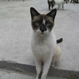 D 7ee93f9f 7966 4477 9266 c407f407a189