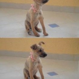 D 54aeef97 0662 4f35 80f6 fbcb18d5d38d