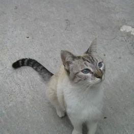 D 67033dab d0d0 41fb 9481 f7f187229a3c