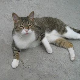 D 2756bc3d 7db2 495f bad1 8da9e0bfc4ef